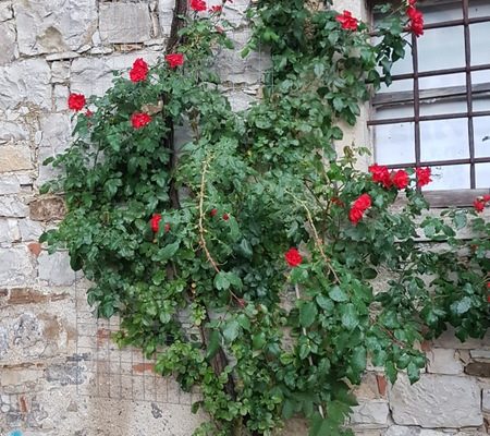 20171006_090940 - kopija