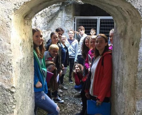 22446870_1978990895671042_78003614_n