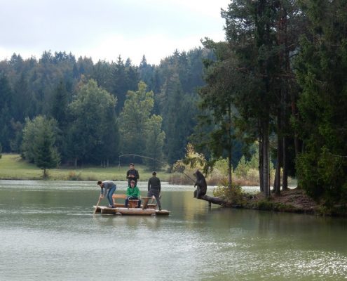 dinarskokraske2016-071